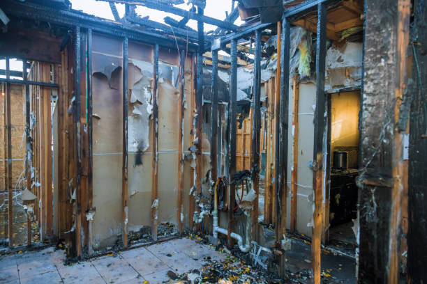 Professional Odor Removal technician working in Tappahannock, VA